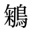 鵴