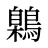 鷍