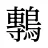 鷒