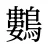 鷜