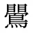 鷪