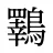鸅
