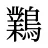 鸈
