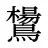 鸉