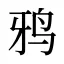鸦