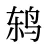 鸫