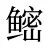 鿹